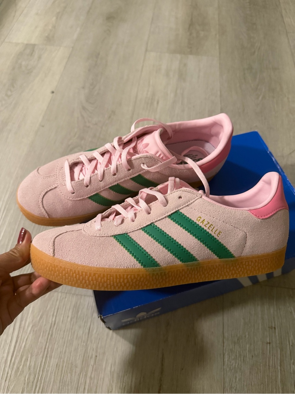 Gazelle J